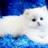 borjaze25's profile image