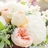 ninajc81's profile image