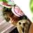 mihailoh48's profile image