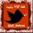 kejtvd49's profile image