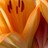 aleksandraid52's profile image
