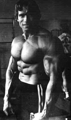 I LOVE ARNOLD SCHWARZENEGGER