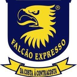 A Falcão Expresso, Serviços de Estafetas, Entregas Rápidas, opera no sector de transporte expresso local, nacional e internacional desde 1992.