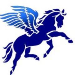 Pegasus Gymnastics Club is a not for profit organisation providing diverse gymnastic services for all ages. 
Email: enquiries@pegasusgc.org