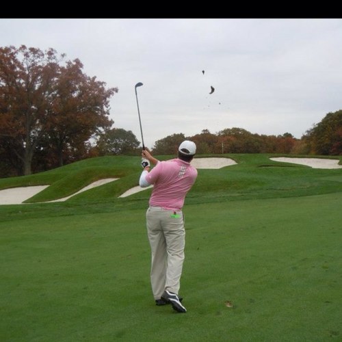 Bobcrta's profile picture. 