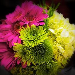 reenguion's profile picture. 