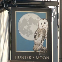 Historic pub with good home cooked food and 8 en-suite bedrooms in Middlemarsh, Dorset. Local produce menu served with real ales & traditional ciders.