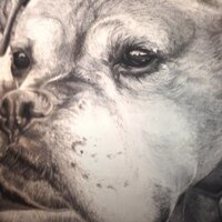 Elizabeth Keady (@keadusone) 's Twitter Profile