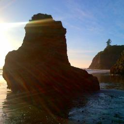 Computer scientist stuck on malware, SE, HCI, and hockey. Working @BlackBerry but tweets are my own opinions.