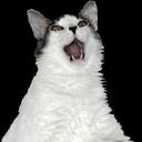 DONALD MCDOWELL - @mcdowell_donald - Twitter