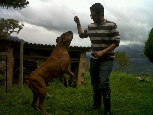 iori784's profile picture. 