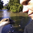 GroutStripes's profile image