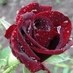 سعد (@ashhmmm123) Twitter profile photo