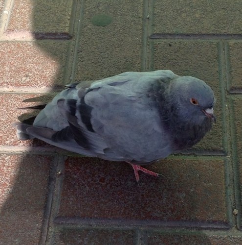 charrie80's profile picture. 