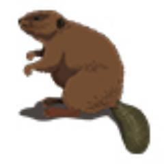 Tweets from beaver whisperer Michel Leclair. Watch a live cam of beavers in Gatineau, Quebec on CBC's The Nature of Things website.