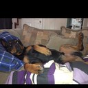 David Elwell - @Elwell06 - Twitter