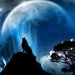 Dan is my name~People see me as a lone wolf~This is my promotion page~Future~Life~Work~Plans~
Follow me and i follow you^^