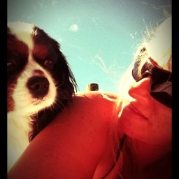 HomesOfCocoaBch's profile picture. Realtor & professional photographer.  Love looking at homes, socializing with good red wine, boating, golf & dogs.  Always entertaining & fun to be around.