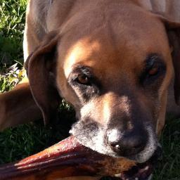 mrrrrrrx's profile picture. 