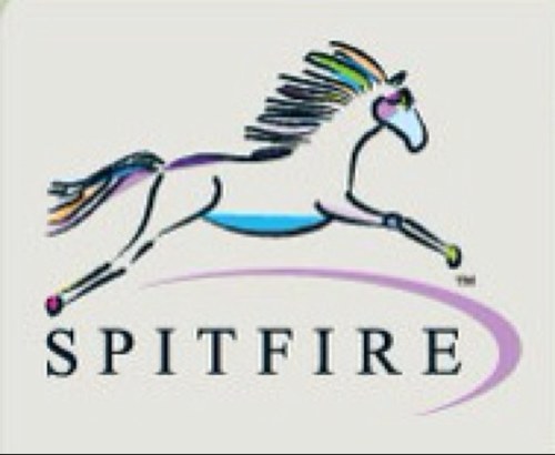 Mascot, Namesake of Spitfire Products, Equine Comedian & Mommy's favorite pony.  I'm an all around gelding who is currently studying dressage!