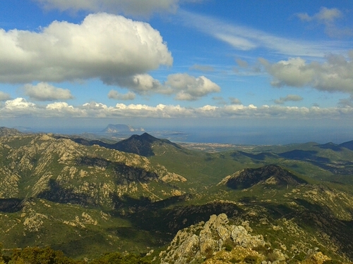 laltrasardegna's profile picture. 