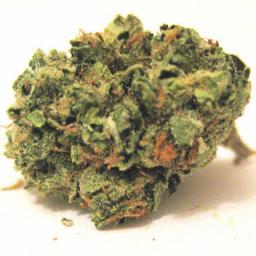 SAG420's profile picture. 