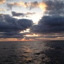 forrest price - @mur6row - Twitter