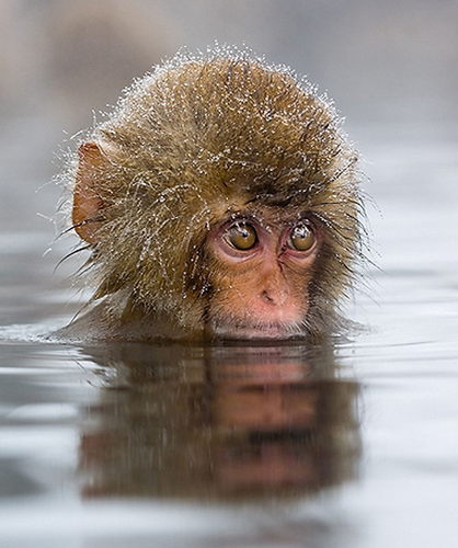 sylviaseller's profile picture. 