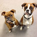 Brian Rothwell - @Rotty_101 - Twitter