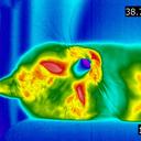 Maria Lerda - @mllerda74 - Twitter