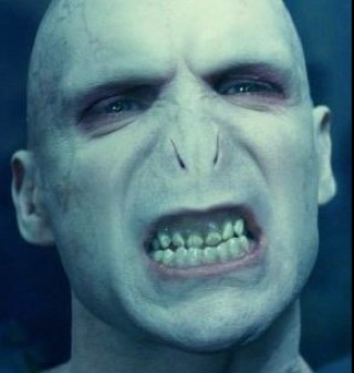 Lord Voldemort. Formerly Tom Marvolo Riddle. The Dark Lord. Head of the Death Eaters. Only I can live forever.