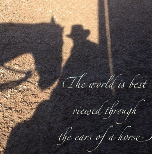 gavbriggs's profile picture. Non of my views are admissible in court or can be used against me in any way!!!!