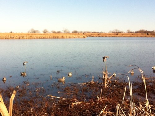 just a railroader that enjoys time with my wife and kids. hunting and fishing keep me sane.