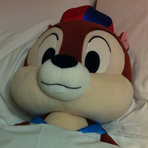ディズニーでのんびり過ごすことが毎日の目標。そして生きがい。