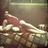 BiancaDagga's profile image