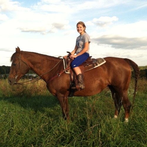 HensleyOllie's profile picture. 