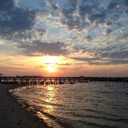 pbbeaching's profile picture. 