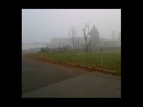 ThistleTownProb's profile picture. Just speaking truth . Gotta problem with what I say ? Dm I'll possibly delete it .