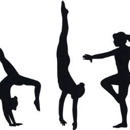 Competitive Gymnast at SGS