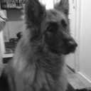 Ben Ewing - @bene731 - Twitter