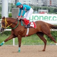 Ercüment Atlı (@ercmentatl) 's Twitter Profile