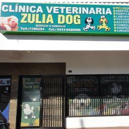 CONSENTIMOS A TU MASCOTA.!