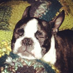 MyBostonBoys's profile picture. 