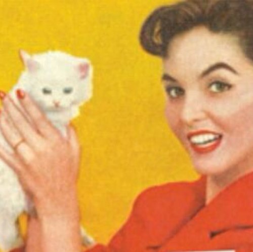so many cats, so little time.
