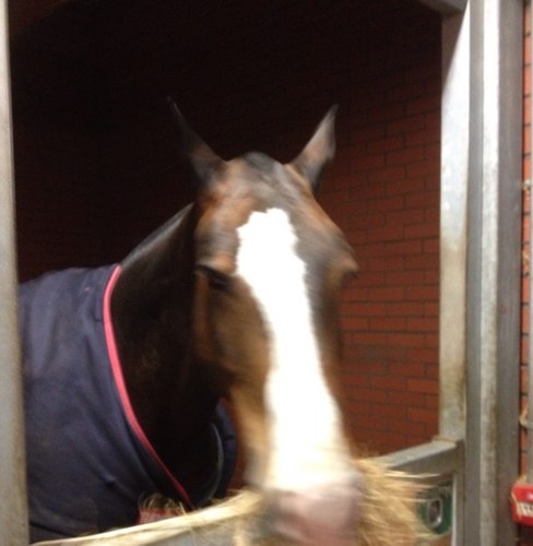 FWicksy's profile picture. 