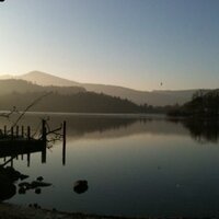 Kate Chate (@katechate) 's Twitter Profile