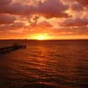 Elise DeWitt - @EliseDeWitt1 - Twitter