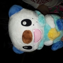 Fiona Cook - @CookFe - Twitter