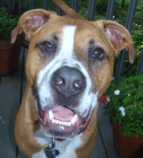 planetxenon's profile picture. 