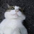 ginjitotora's profile image